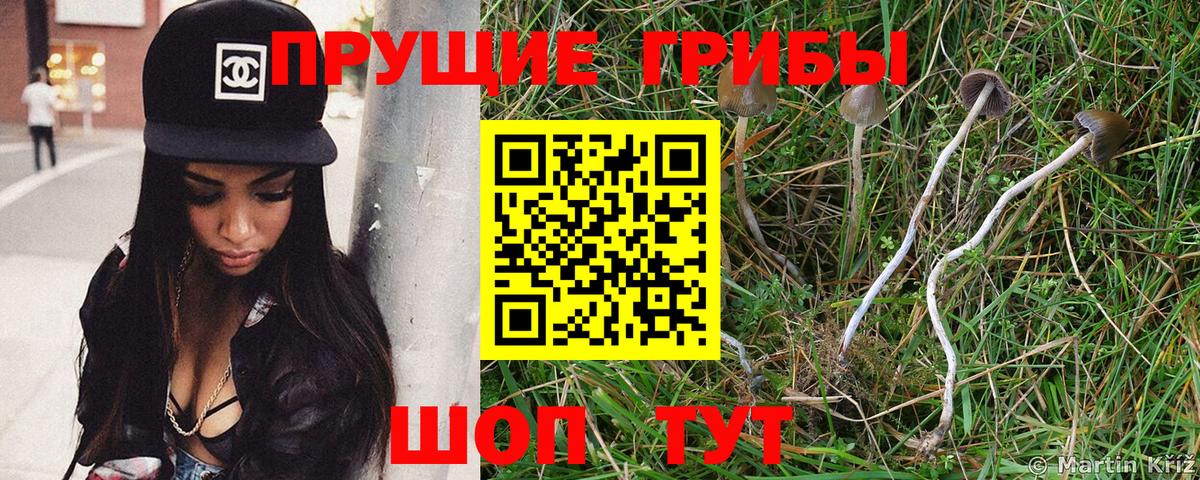 Ипатово  где купить наркотик  Вход с VPN  Галлюциногенные грибы ЛСД 